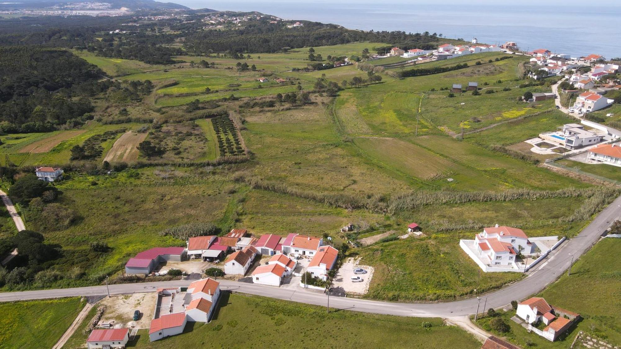 Casas Com Amoras In Serra Da Pescaria Famalicão 外观 照片